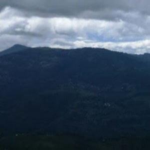 Meet your Posher, Reshma